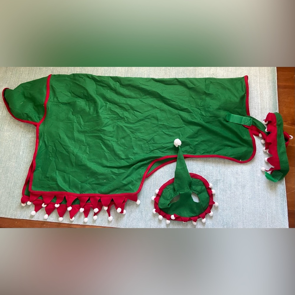 Costume For Horse